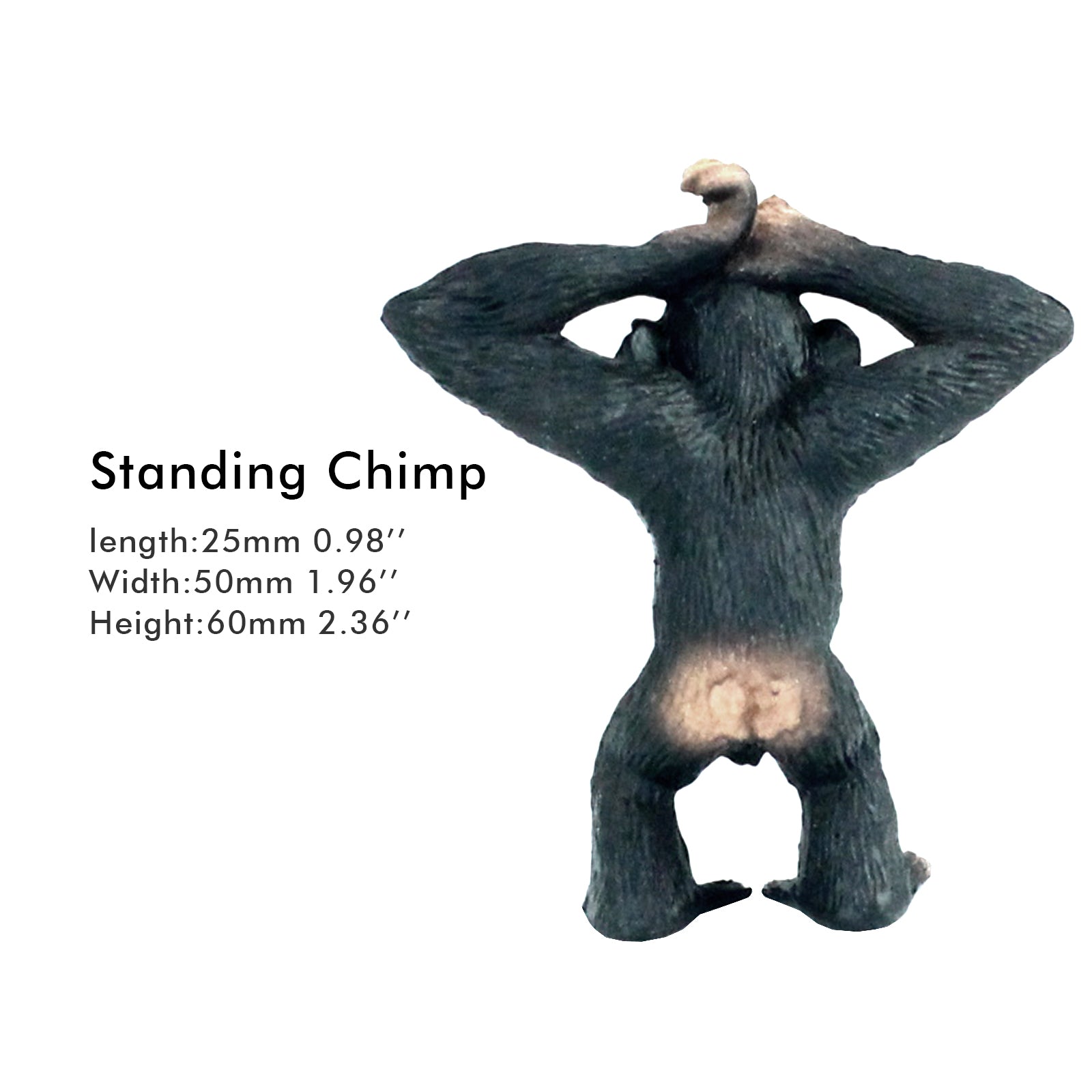 average chimpanzee height