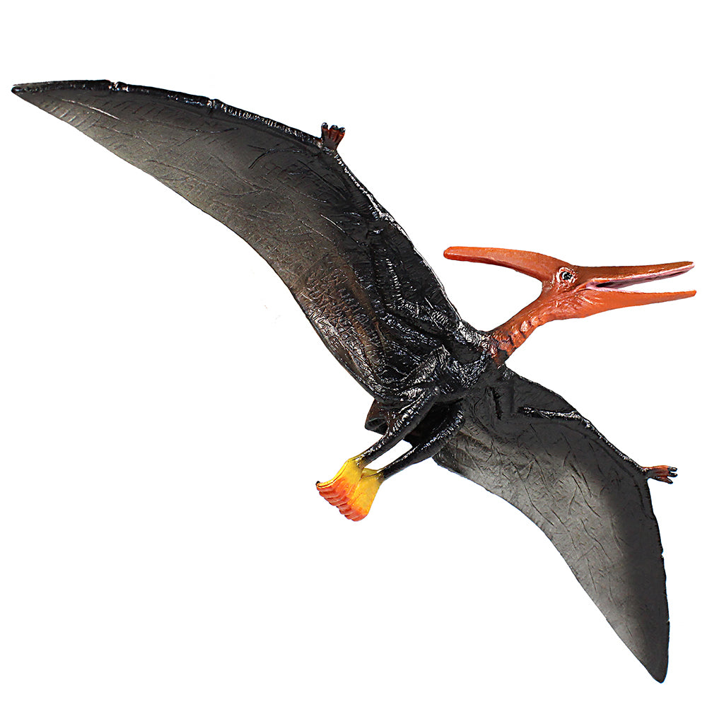 Pteranodon Figure Length 12 Inch Funshowcase 