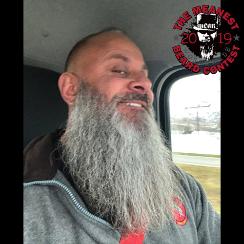 Contestants 81 to 88 in the 2019 MEANest BEARD Worldwide Contest