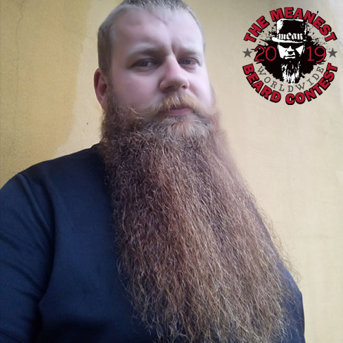 Contestants 9 to16 in the 2019 MEANest BEARD Worldwide Contest