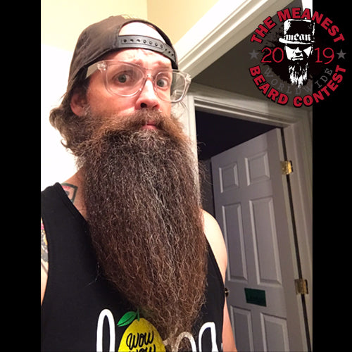 Contestants 1 to 8 in the 2019 MEANest BEARD Worldwide Contest