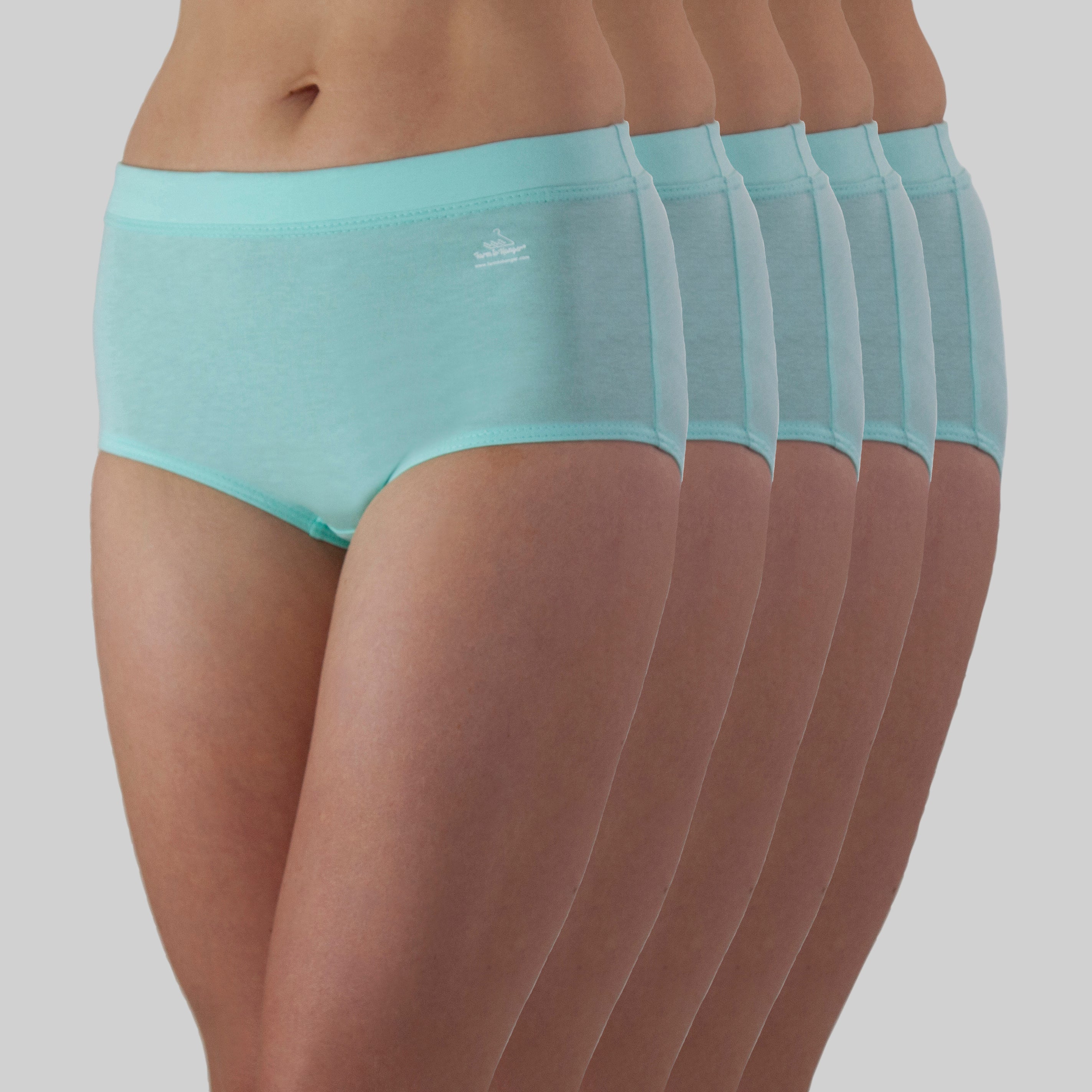 SOLD OUT - High Waist Comfy Bum Knickers - Single Colour Five Set - Powder Aqua