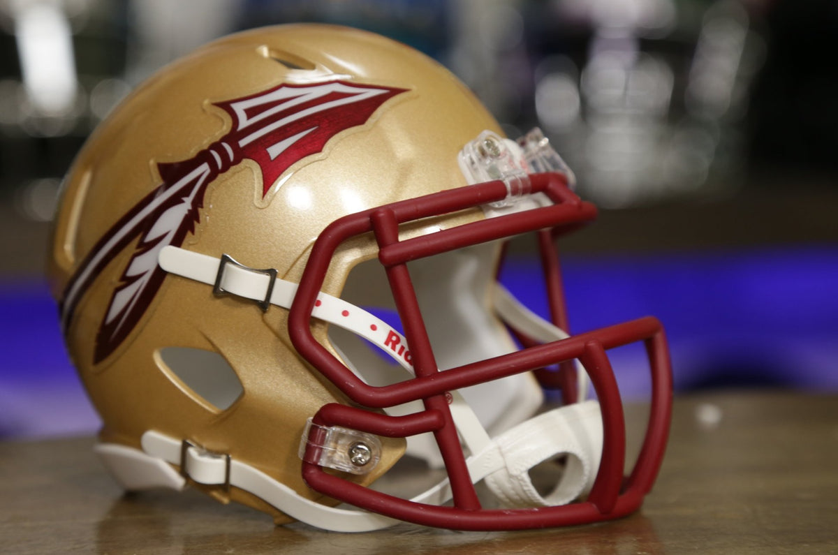 fsu mini helmet