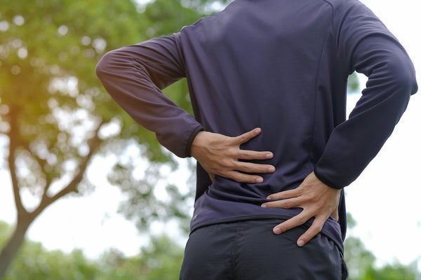 lower back pain cause