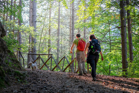 Hiking