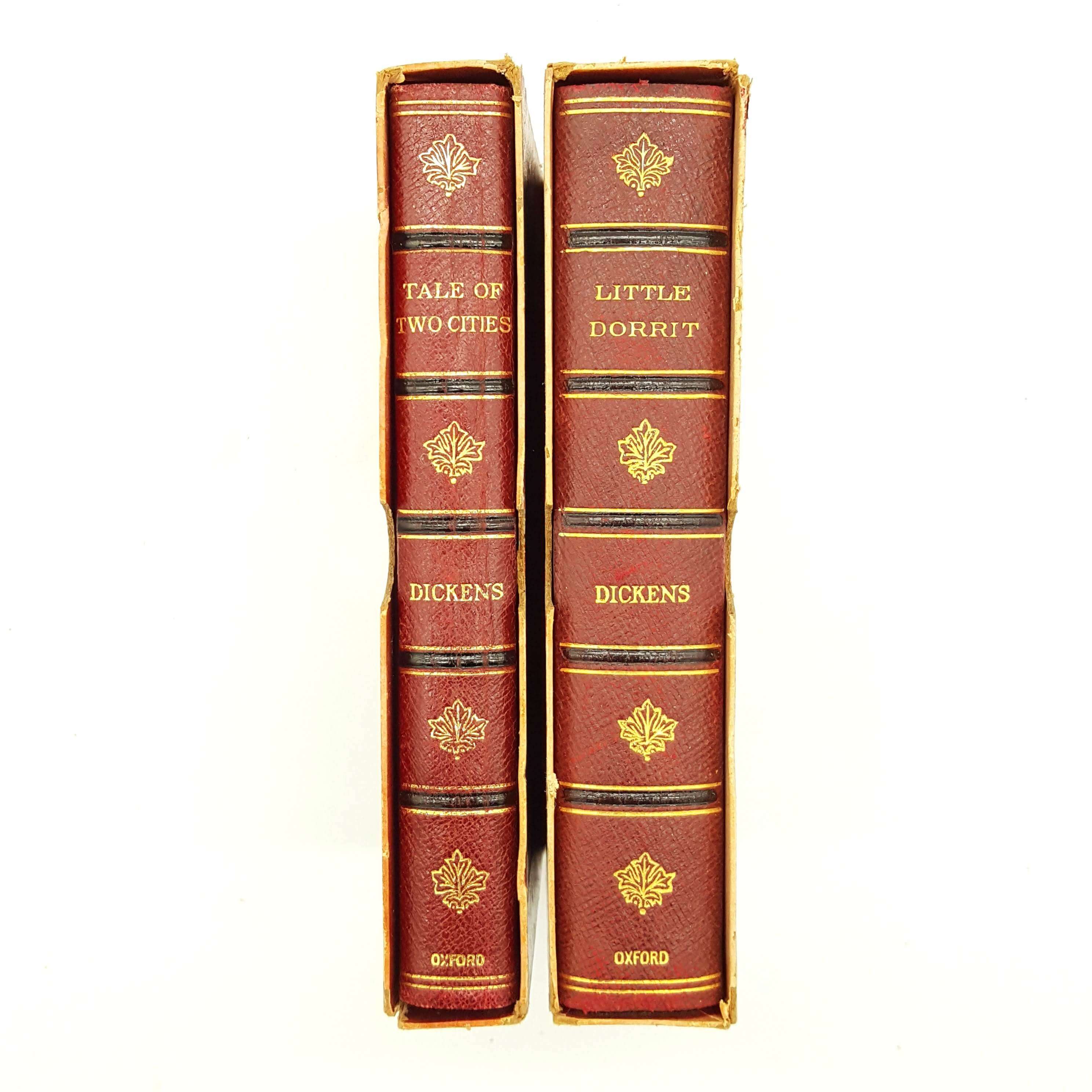 THE 'ILLUSTRATED' DICKENS - TWO VOLUME COLLECTION