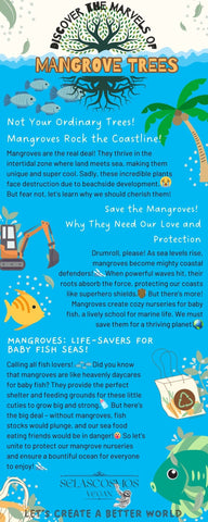 Info graphic about mangroves