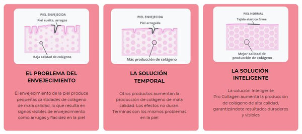 por que pro collagen de Maria Padilla