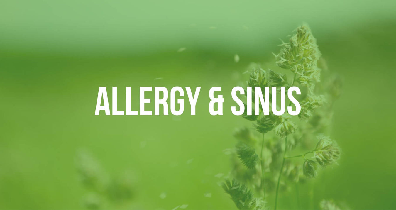 ALLERGY & SINUS