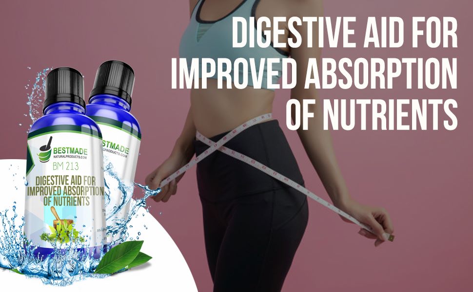 Digestive aid for improved absorption of nutrients