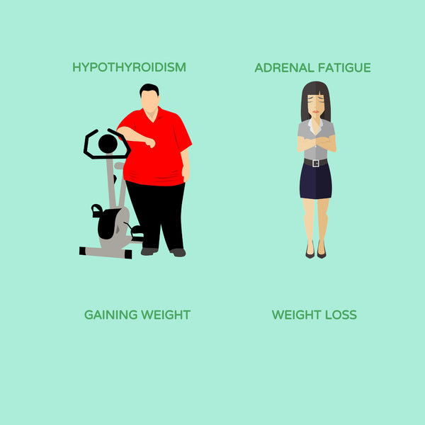 Hypothyroidism: Gaining Weight VS Adrenal Fatigue: Weight Loss