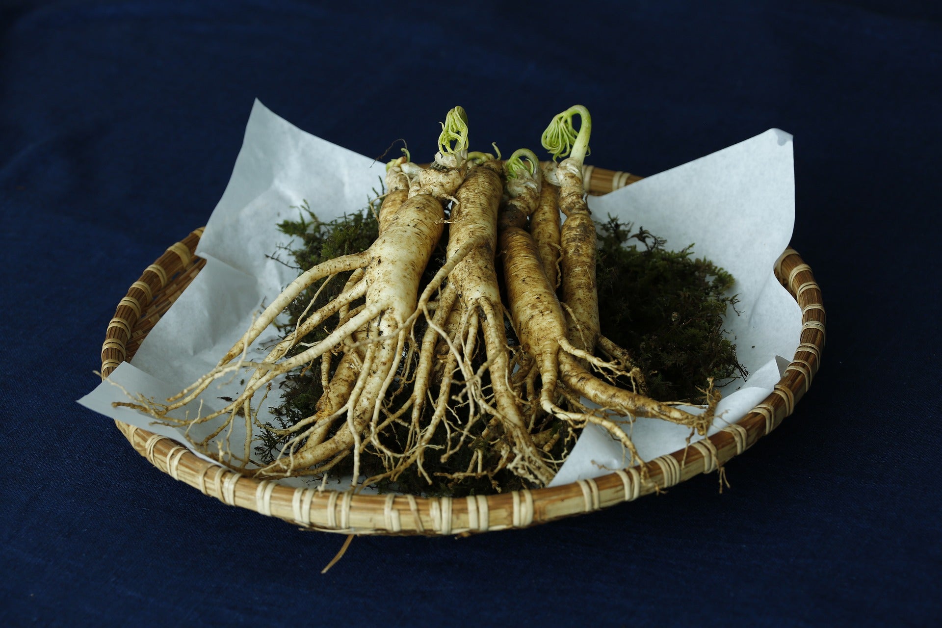 Basket with ginseng root