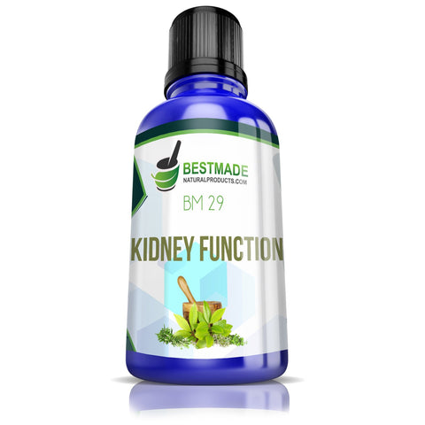 Kidney and Bladder Inflammation Remedy (BM192)