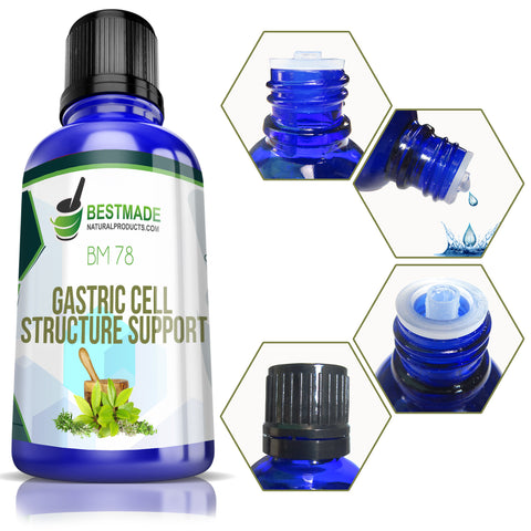 Gastric cell structure support