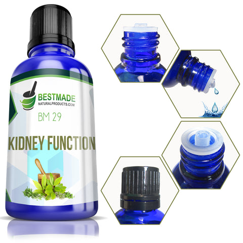 Kidney function