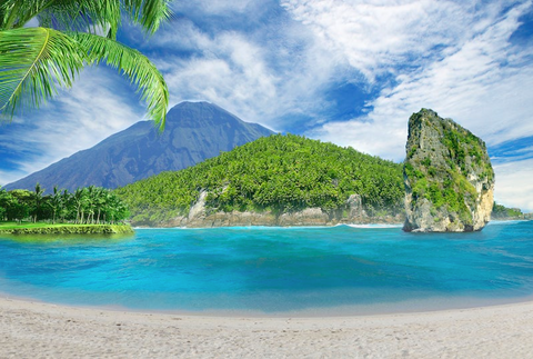Tropical island with blue water