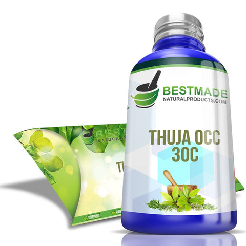 Thuja occidentalis homeopathic remedy