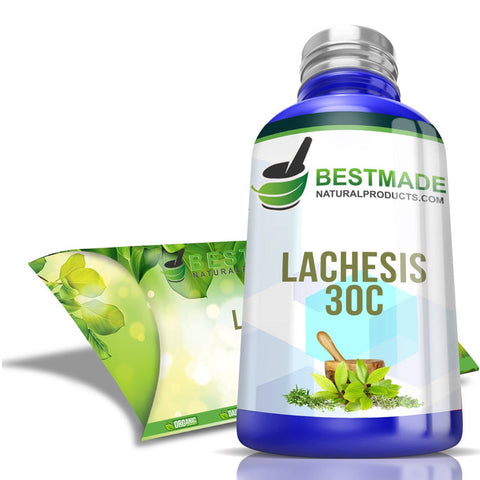 Lachesis muta homeopathic remedy