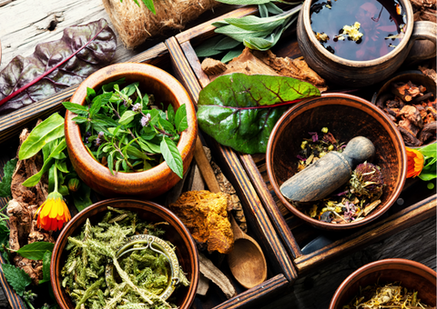 Healing medicinal herbs.