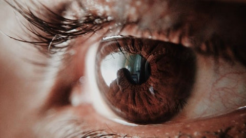 A person's brown eye.
