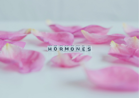 Hormones word cubes on a white background.