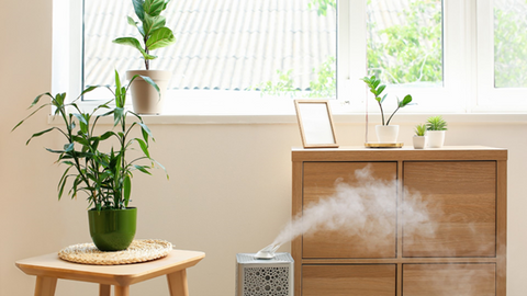 Air humidifier in room