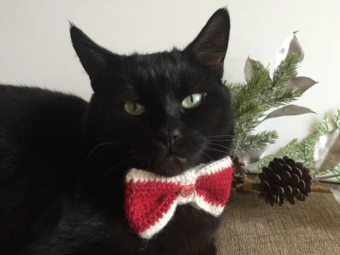 Black Cat Wearing Red White Bowtie