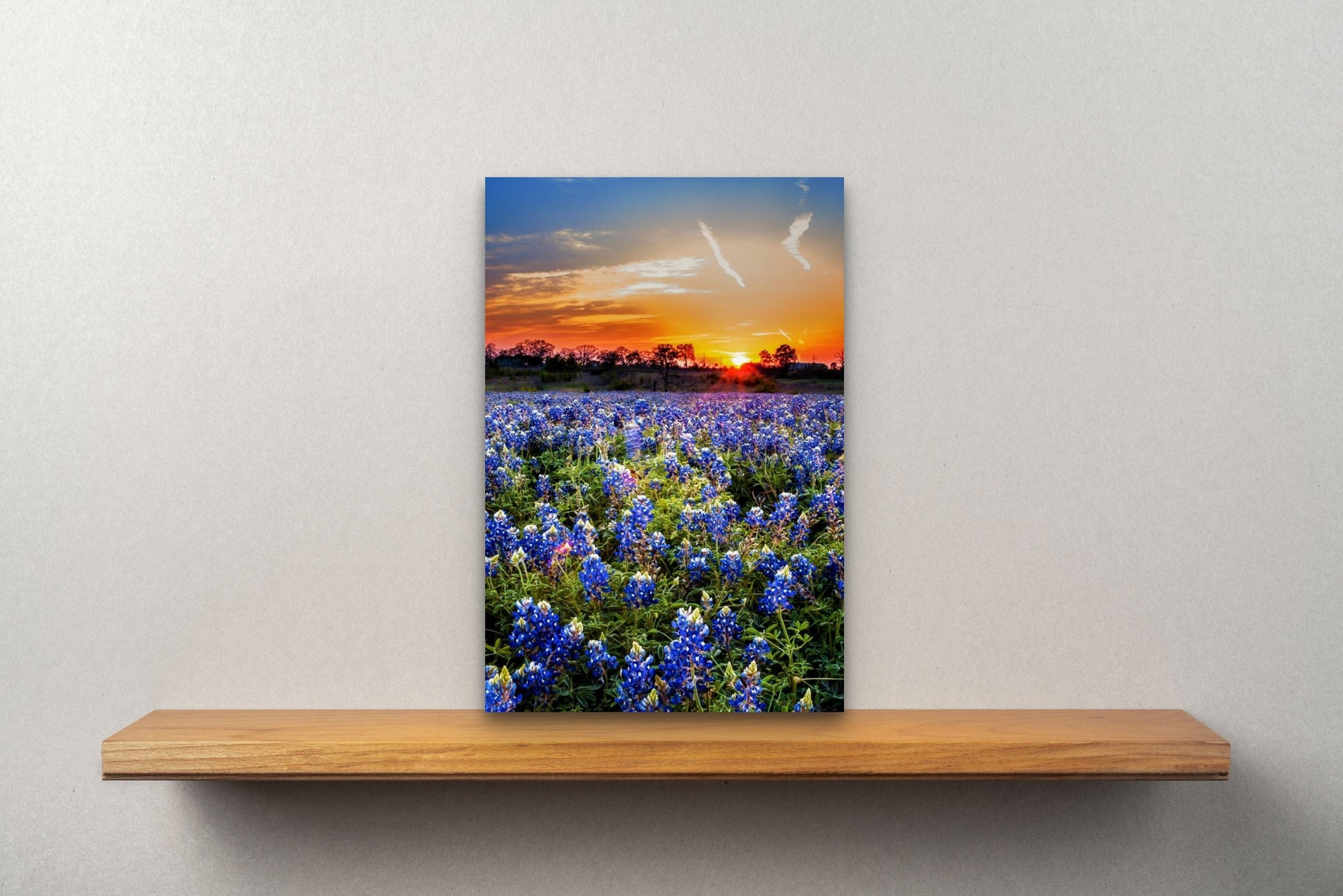 A Bluebonnet Sunset, Texas, Bluebonnets and Wildflowers Wood Art P – Wimberley Puzzle Company