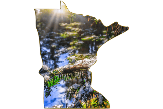 Lake Superior | Minnesota-Shaped Jumbo Fridge Magnet