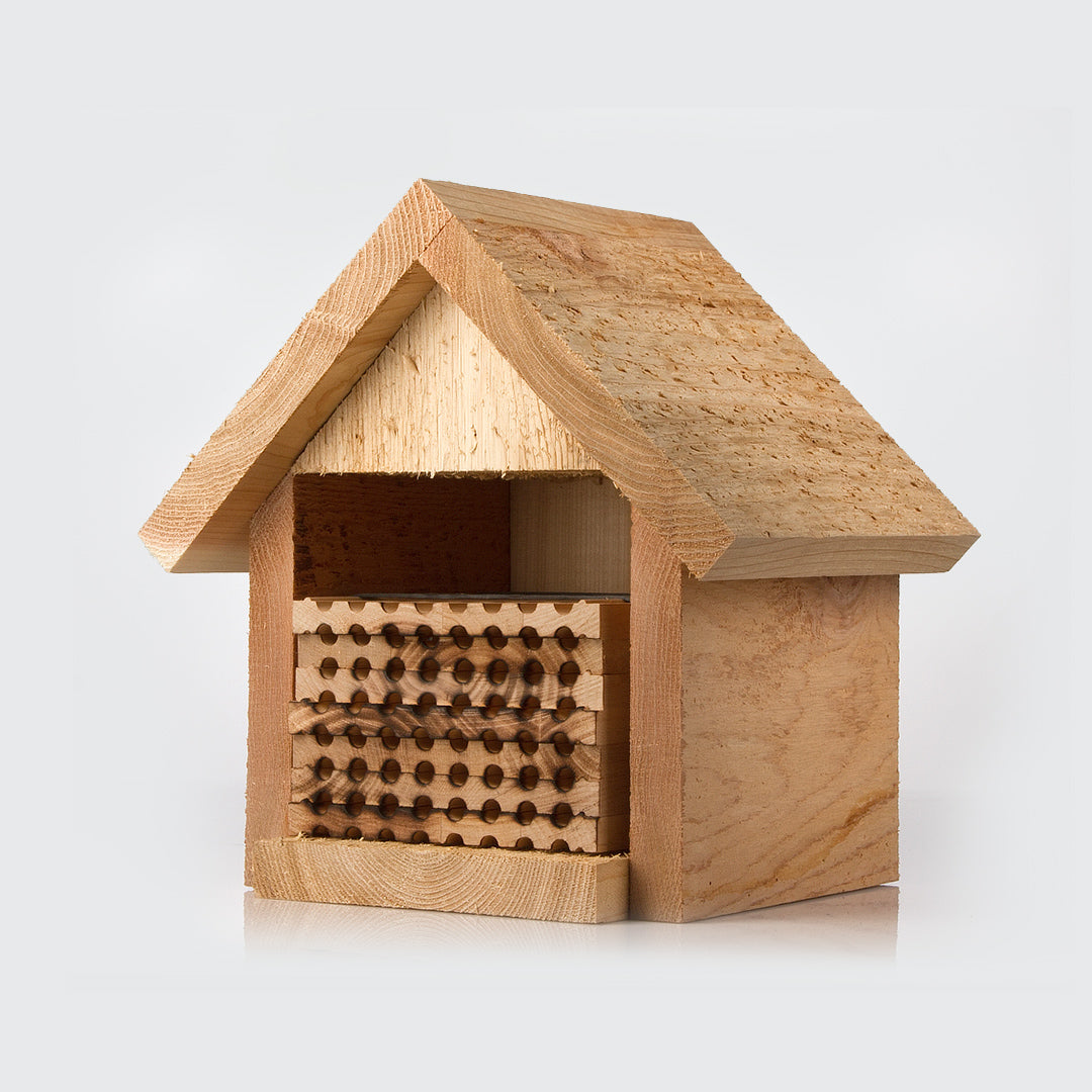 Apiary Bee House With 48 Hole Laminate