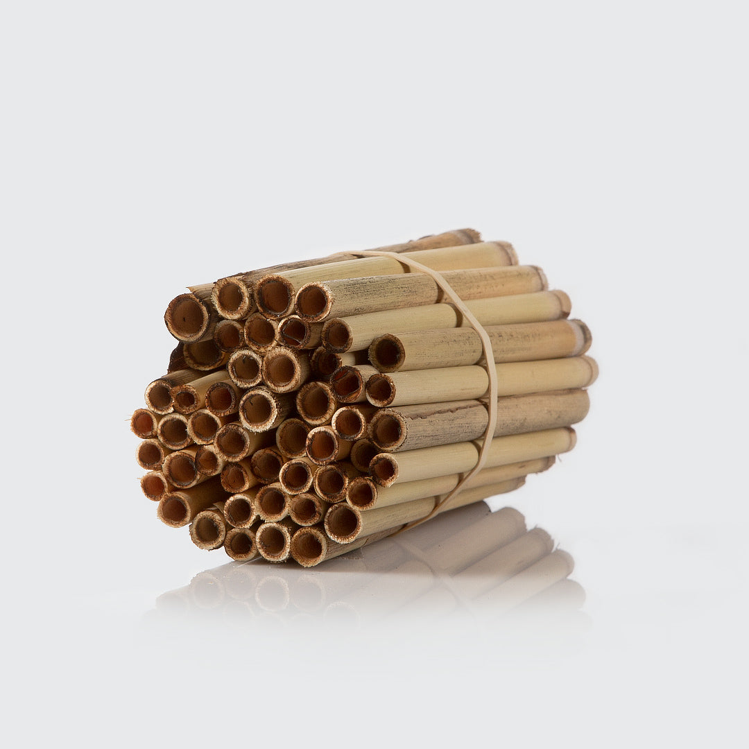 DIY Mason Bee House Kit