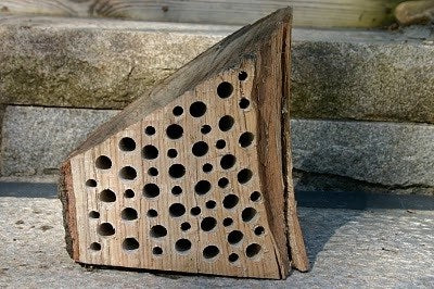Bees house