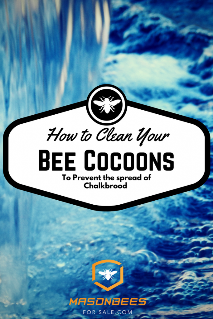 STEP BY STEP GUIDE TO WASH BEE COCOONS