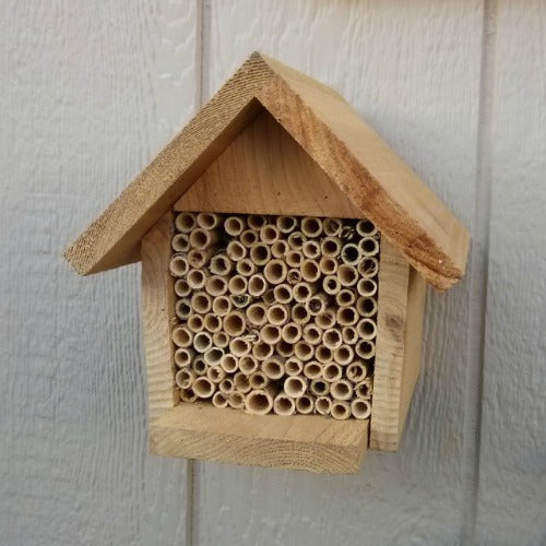 Honeybees house