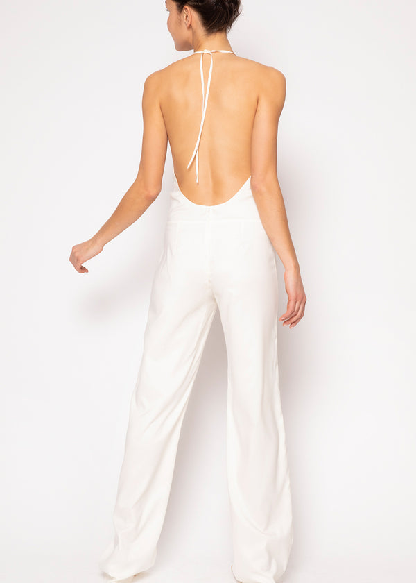 Faye Backless Silk Jumpsuit – Jaline Resort