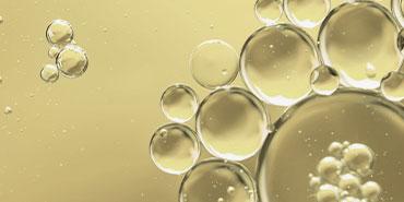 Microalgae Oil