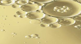 Microalgae Oil