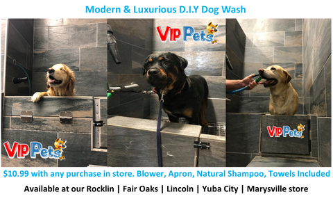 DIY Dog Wash – VIP Pets