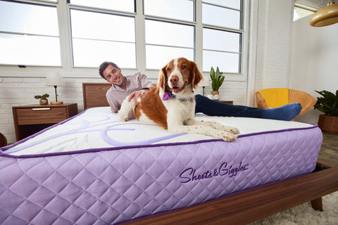 Man and dog sitting on a bed