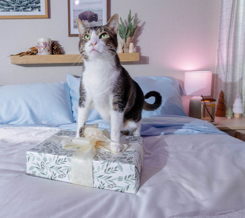 Cat standing on top of wrapped present