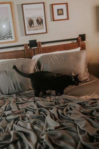 Black cat walking across bed with dark sheets
