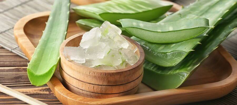 aloe vera for hair