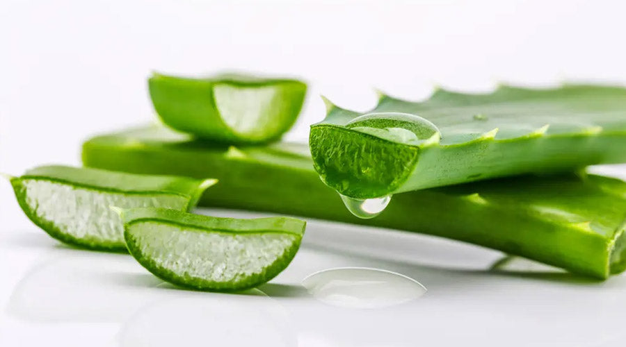 aloe vera do it yourself hand sanitizer recipe