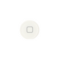 white_home_button_front_RSR4SUOW21UT.png