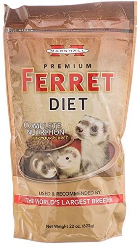 marshall ferret food