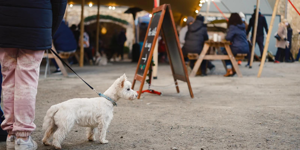 Killruddery Market