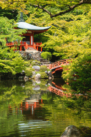 A serene view of a Japanese temple above a pond in Kyoto, Japan