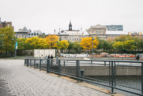 A city view with fall trees in Montreal, Quebec