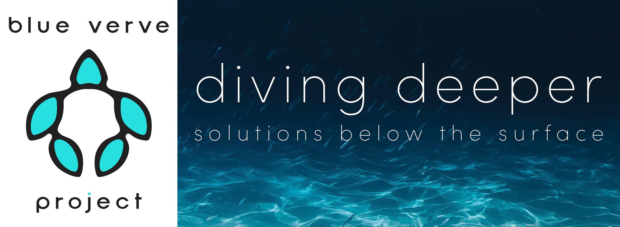 Blue Verve Project, Diving Deeper