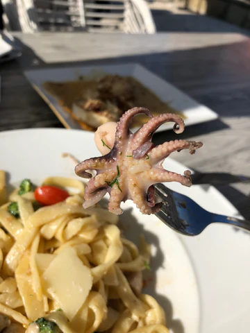 Seafood pasta in Pomorie, Bulgaria